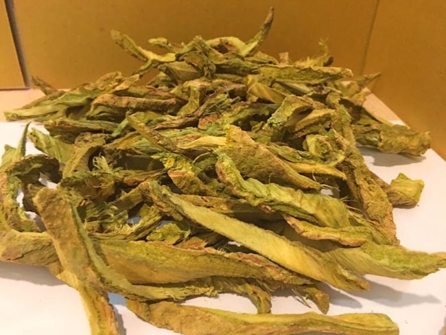 Vỏ cây Núc nác, Nam hoàng bá - Oroxylum indicum (L.) Kurz, thuộc họ Núc nác - Bignoniaceae.