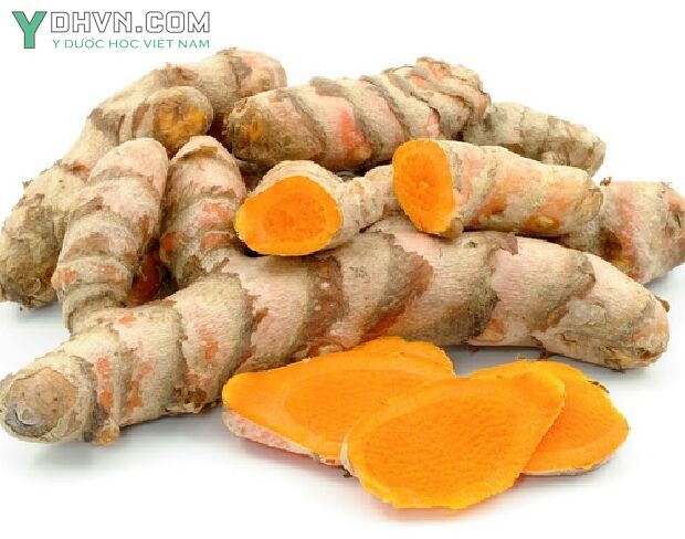 Cây Nghệ