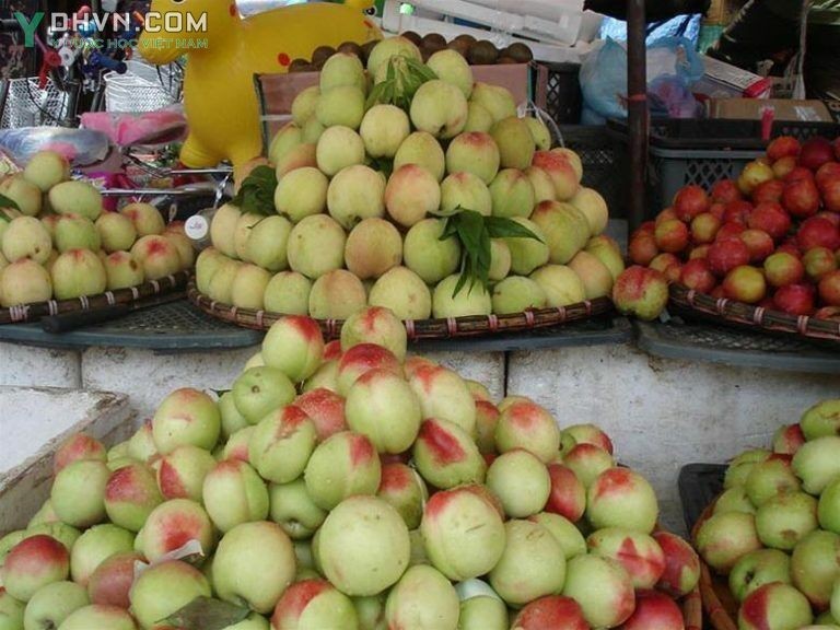 Đào Mẫu Sơn