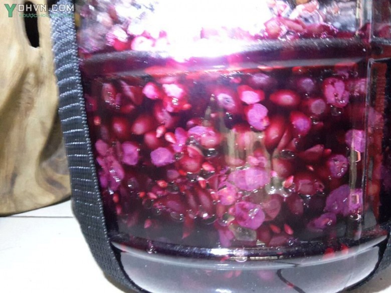 Qủa nho ngâm rượu