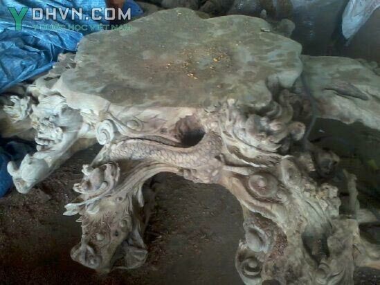 Hình ảnh gốc cây Long não được điêu khắc thành bộ bàn nước tứ linh