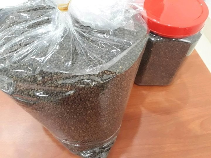 Hạt giống sâm bố chính