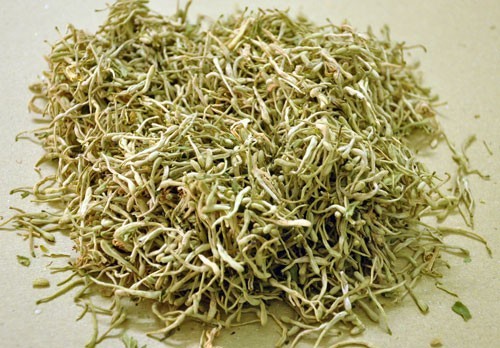 Hình ảnh dược liệu Kim ngân hoa