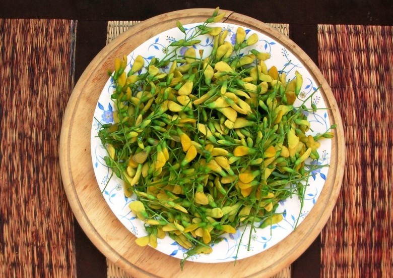 Dược liệu hoa Điền thanh gai