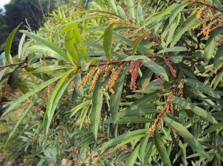 Tham khỏa thêm hình ảnh