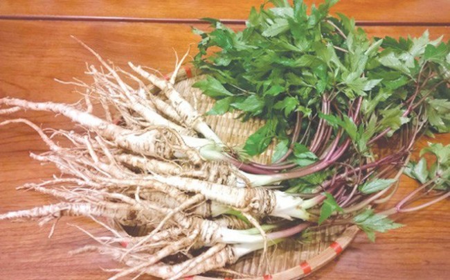Mất ngủ do tâm tỳ lưỡng hư