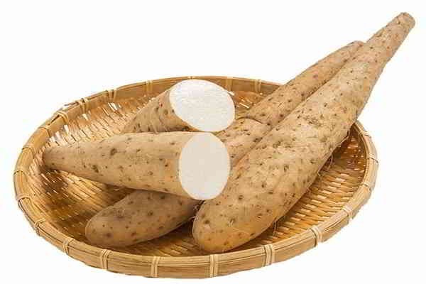 Củ mài