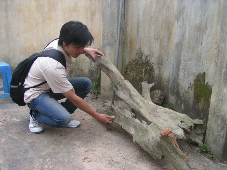 Phá rừng tìm Ngọc Am
