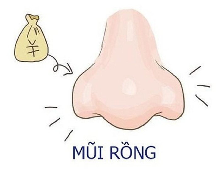 Đàn ông có tướng mũi rồng