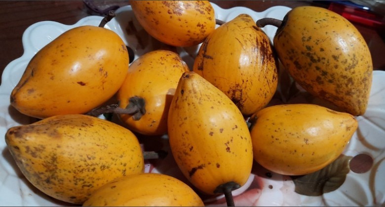 Công dụng ít người biết của quả trứng gà