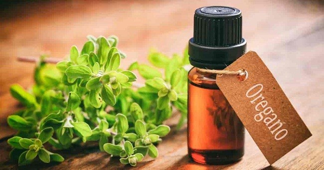 Tinh dầu kinh giới oregano