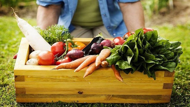 Tác động của quy định mới về sản phẩm hữu cơ đối với các sản phẩm ngũ cốc, đậu và hạt có dầu ở các nước đang phát triển