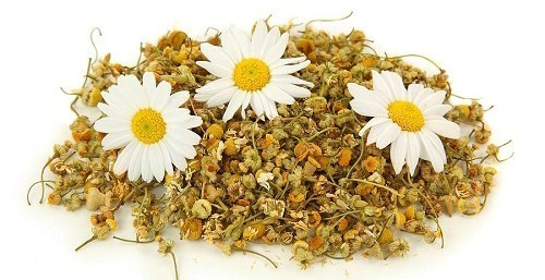 Theo Đông y, cúc hoa tác dụng phát tán phong nhiệt, thanh can minh mục, thanh nhiệt giải độc.