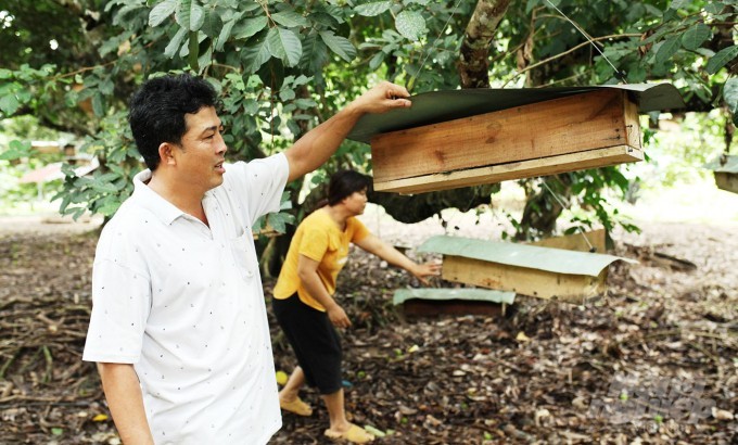 Dễ làm, lợi nhuận cao