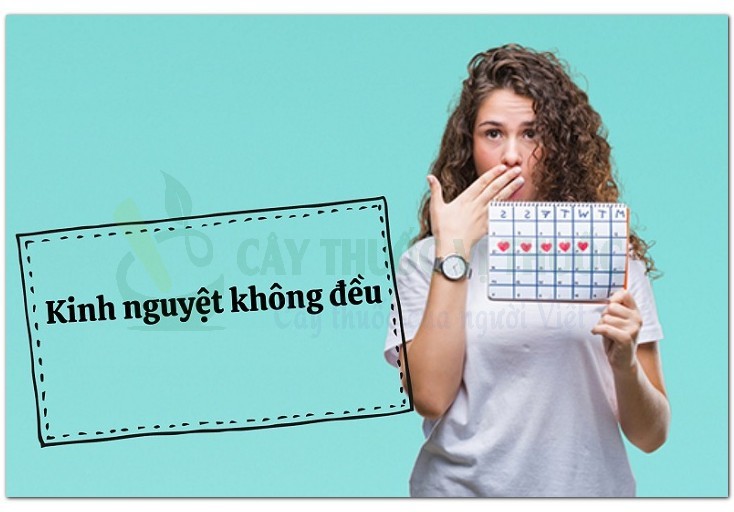 Bài 1: Trứng gà 2 quả, hoàng kỳ 20g, đương quy 15g, kê huyết đằng 12g.