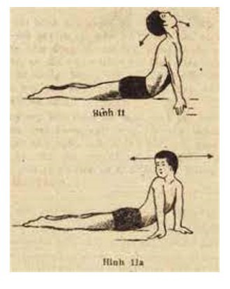1. Bài tập rắn hổ mang