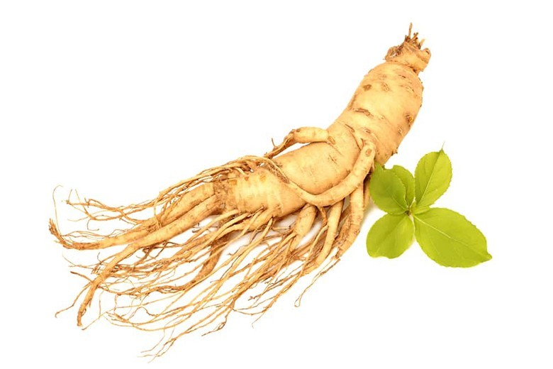 Tìm hiểu thêm về Tác dụng của vị thuốc nhân sâm (Tên khoa học: Panax ginseng)
