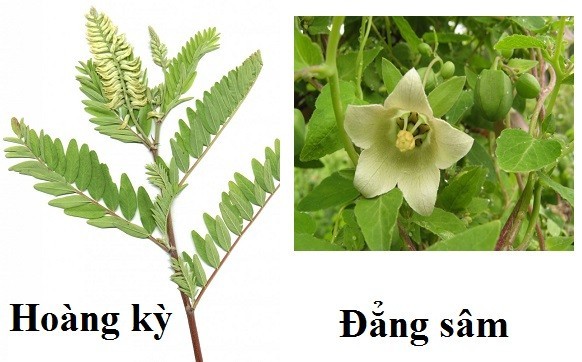 Công dụng khác nhau