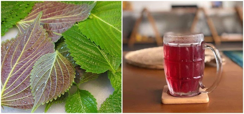 1. Thảo dược hỗ trợ trị sốt cho trẻ
