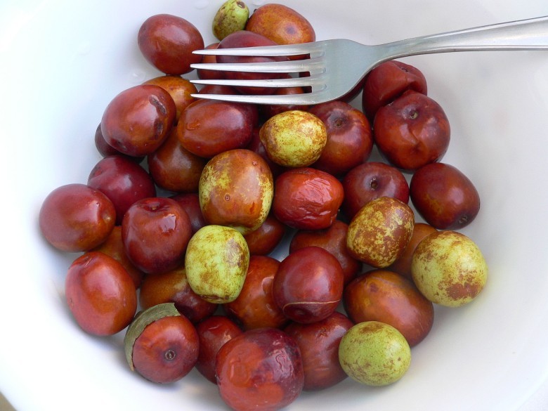 Táo tàu (quả tươi)