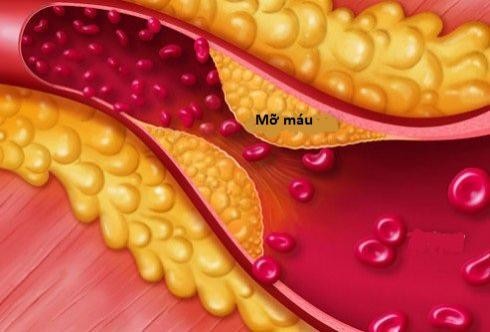 Công dụng của nấm hương