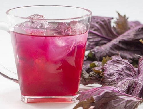 Uống nước tía tô trước khi ăn cơ thể sẽ nhận được những lợi ích: