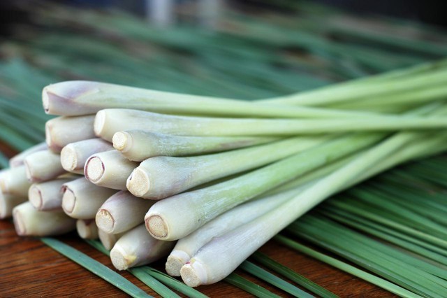 Thông tin thêm về cây thuốc nam cây Sả