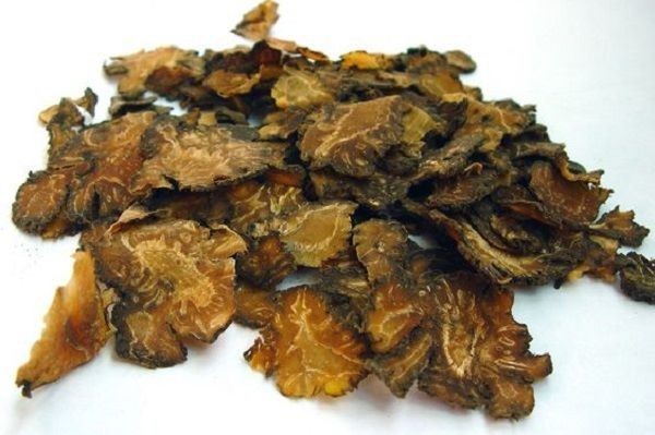 2. Bài thuốc, món ăn điều trị chứng rụng tóc