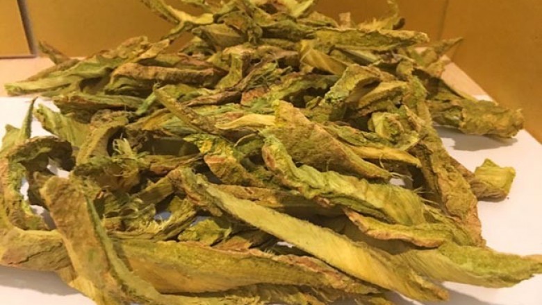Những bài thuốc Đông Y chữa bệnh dùng Dược Liệu Núc nác