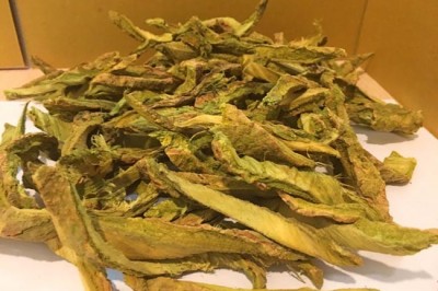 Những bài thuốc Đông Y chữa bệnh dùng Dược Liệu Núc nác