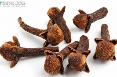 Bài thuốc Đông Y Chữa đau nhức xương khớp do thời tiết với cây Dược Liệu đinh hương