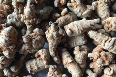 Mua tam thất nhất định phải biết tránh nhầm lẫn với các loài có tên Tam thất