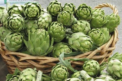 Tránh nhầm lẫn công dụng chữa bệnh của hoa Atisô và bụp giấm