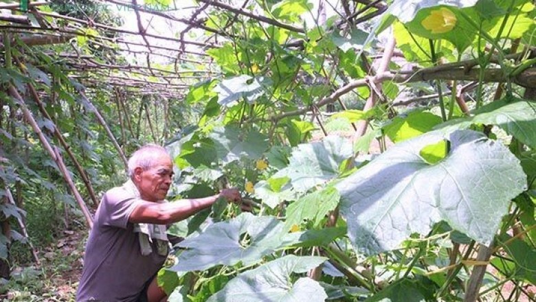 Lạng Sơn: Tỉnh đầu tiên đưa cử nhân về làm nông dân ở 10 hợp tác xã nông nghiệp sạch