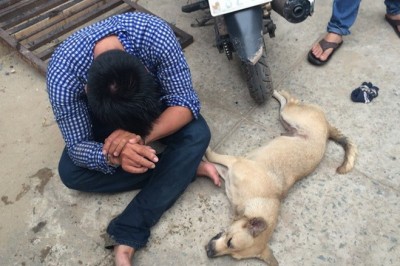 Phóng sinh không bằng ăn chay