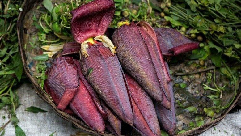 Những công dụng chữa bệnh từ Hoa chuối: theo Bác sĩ Nguyễn Thị Nga
