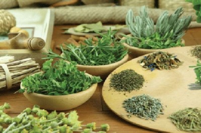 Bài thuốc đông y hỗ trợ, chữa bệnh ung thư gan, ung thư phổ và ung thư dạ dày