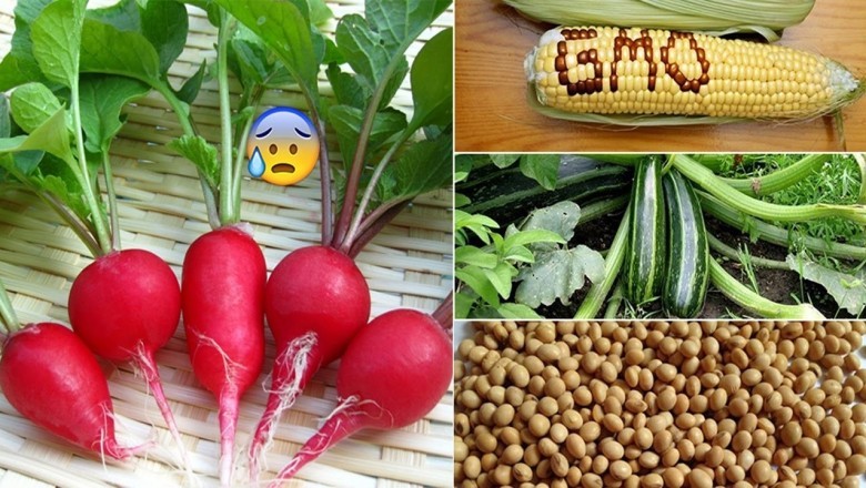 Mỗi ngày bạn đều ăn thực phẩm biến đổi gen mà không biết gì ?