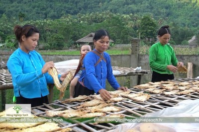 Măng mai Yên Bái sản phẩm, Nông nghiệp sạch của tỉnh Yên Bái