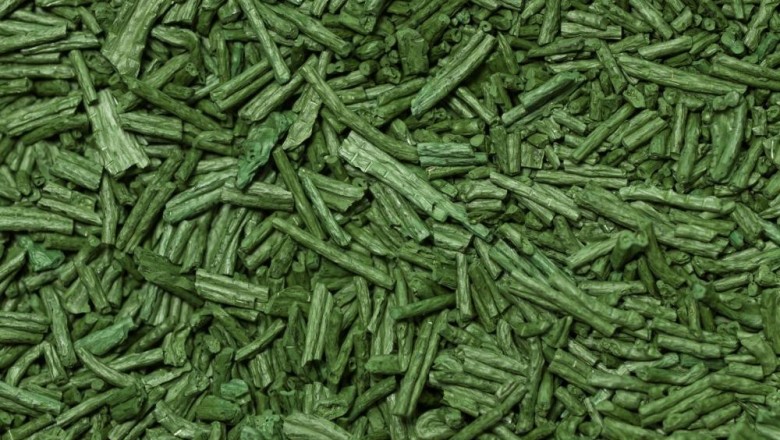 Cây dược liệu cây Tảo lò xo, Tảo xoắn - Spirulina platensis (Nordst.) Geitl