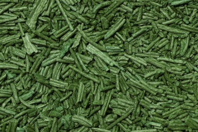 Cây dược liệu cây Tảo lò xo, Tảo xoắn - Spirulina platensis (Nordst.) Geitl