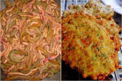 Chả rươi Đông Triều chinh phục những thực khách sành ăn