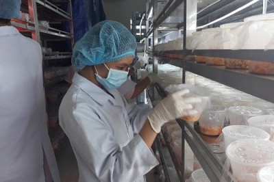 Sẽ hỗ trợ đến 100 triệu đồng cho nghiên cứu về y sinh