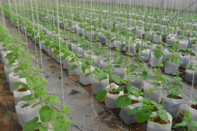 Mang mô hình nông nghiệp công nghệ cao đến WHISE 2018