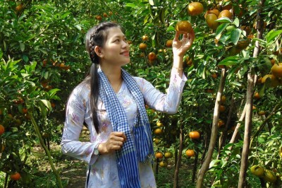 Đồng Tháp sắp có sản phẩm du lịch nông nghiệp sạch