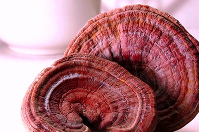 Cách phân biệt nấm linh chi thật hay giả khi mua 