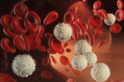 Đông y điều trị chứng bệnh bạch cầu giảm