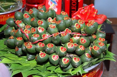 Những tác dụng bất ngờ của quả cau, hạt cau trong y học cổ truyền