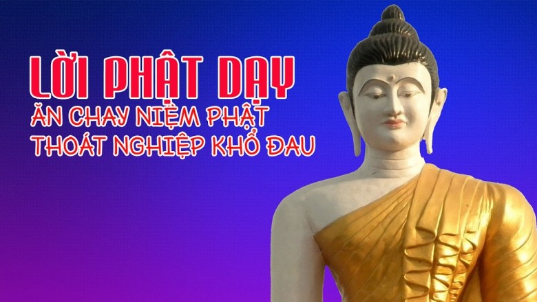 Những Lời Phật Dạy: Ăn chay niệm phật thoát nghiệp khổ đau và Giải đáp về việc ăn chay