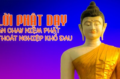 Lời dạy của đức Phật người ăn chay cần biết